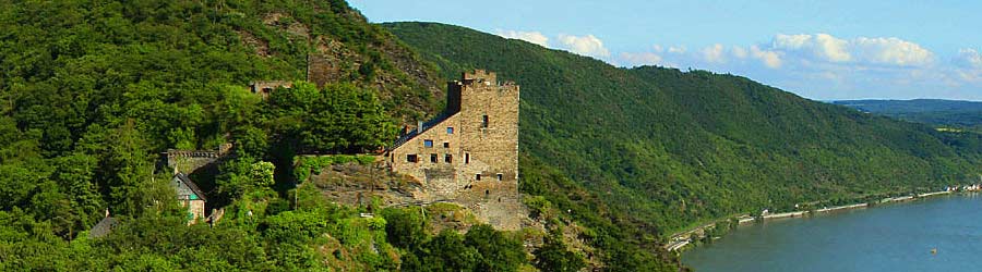 Burg Liebenstein Panorama