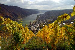 Rheinsteig Logo und Wegmarkierung bei Burg Liebenstein